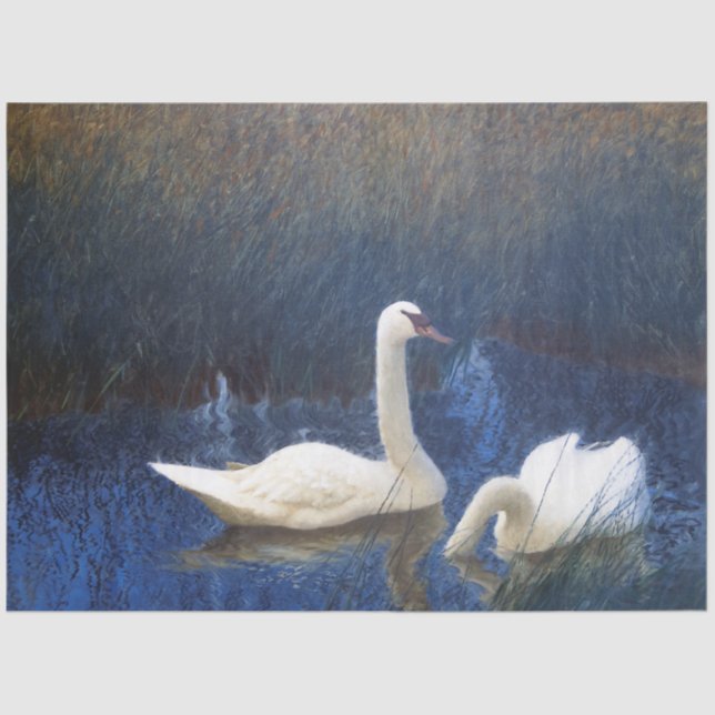 Papel De Seda Cisnes em Reeds, Bruno Liljefors (Frente )