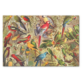 Papel De Seda Clássica Vintage Pássaros Tropicais Decoupage