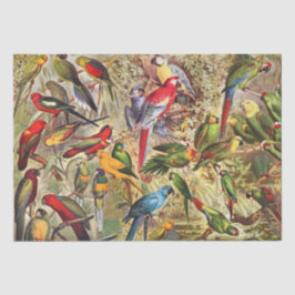 Papel De Seda Clássica Vintage Pássaros Tropicais Decoupage