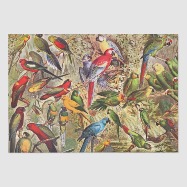 Papel De Seda Clássica Vintage Pássaros Tropicais Decoupage (Frente )