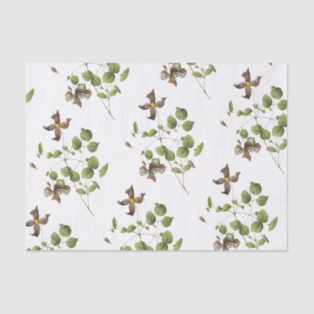 Papel De Seda Clematis Flower Pattern (Frente )