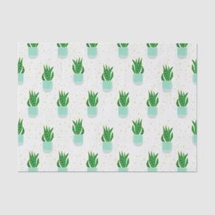 Papel De Seda Cobra de planta de Sansevieria Potted