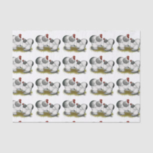 Papel De Seda Cochin Columbian Bantams