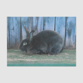 Papel De Seda Coelho Bunny Rústico Azul Verde Fazenda Rural