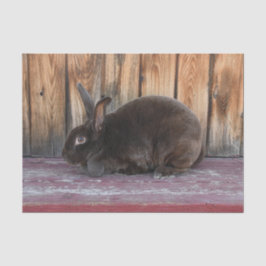 Papel De Seda Coelho Bunny Rústico Marrom Fazenda Rural