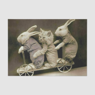 Papel De Seda Coelhos e Gato de Vintage no Patinete de Brinquedo