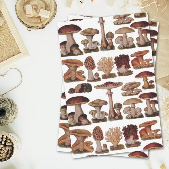 Papel De Seda cogumelos hipster botânico francês (hipster french botanical print vintage mushrooms tissue paper)