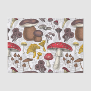 Papel De Seda Cogumelos selvagens