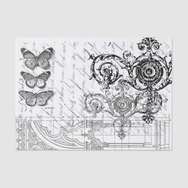 Papel De Seda Coisas efêmeras da borboleta (Frente )