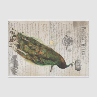 Papel De Seda Colagem bonita das coisas efêmeras do pavão