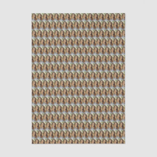 Papel De Seda Colagem de Fotos Personalizadas