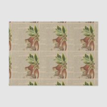 Colagem de Macacos Vintage