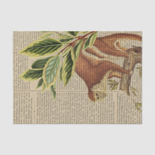 Papel De Seda Colagem de Macacos Vintage