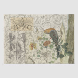 Papel De Seda Colagem do pássaro