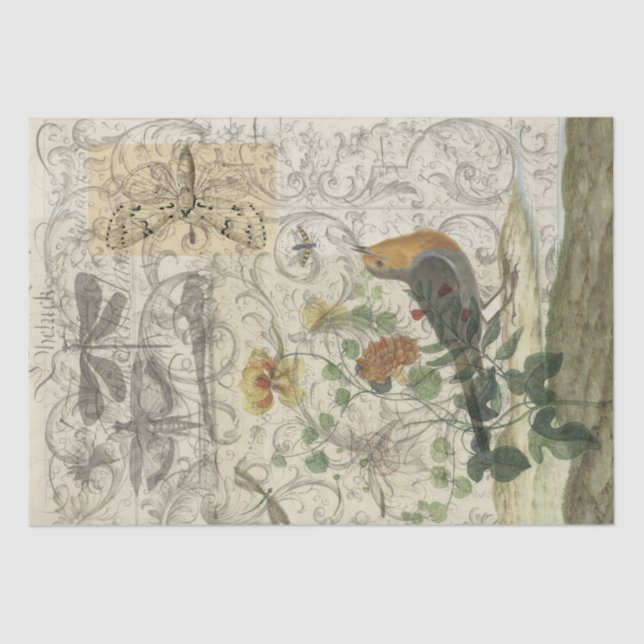 Papel De Seda Colagem do pássaro (Frente )