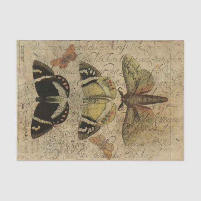 Papel De Seda Colagem No.501 do inseto (Frente )