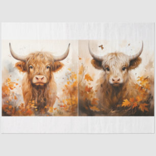 Papel De Seda Coleção 2 de Design de Vaca do Highland