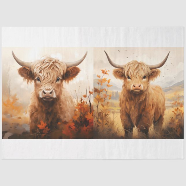 Papel De Seda Coleção 6 de Design de Vaca do Highland (Frente )