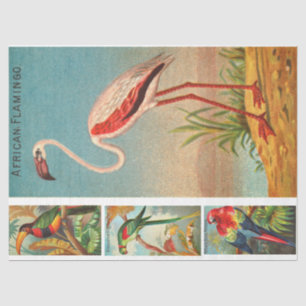 Papel De Seda Coleção de Pássaros Flamingo 2c Dissociação Vintag