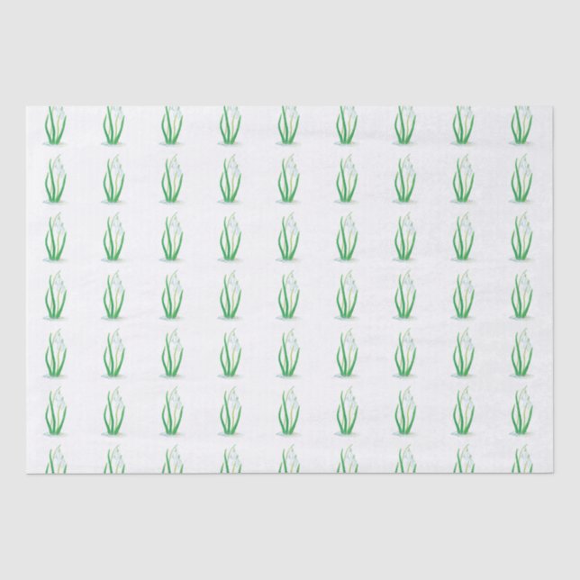 Papel De Seda Colírio primavera (Galanthus nivalis) Branco (Frente )