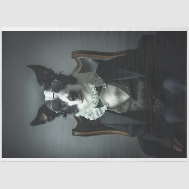 Papel De Seda Collie de Borda na Página de Discussão de Sombras  (Frente )