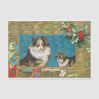 Papel De Seda Collies de Natal com Holly e Berries