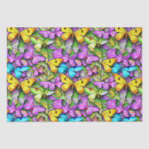 Coloração da borboleta