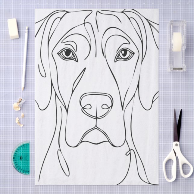 Papel de Seda Com Grandes Danos (Arte )