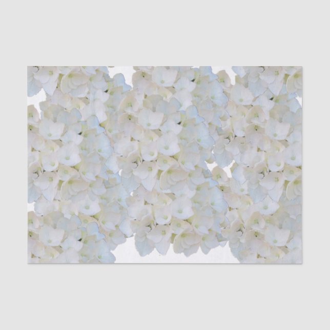 Papel de Seda com Hortênsias Brancas (Frente )