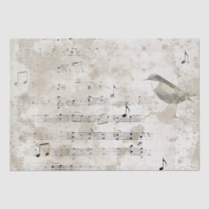 Papel De Seda Compartimento Grunge Notas de Música de Música de