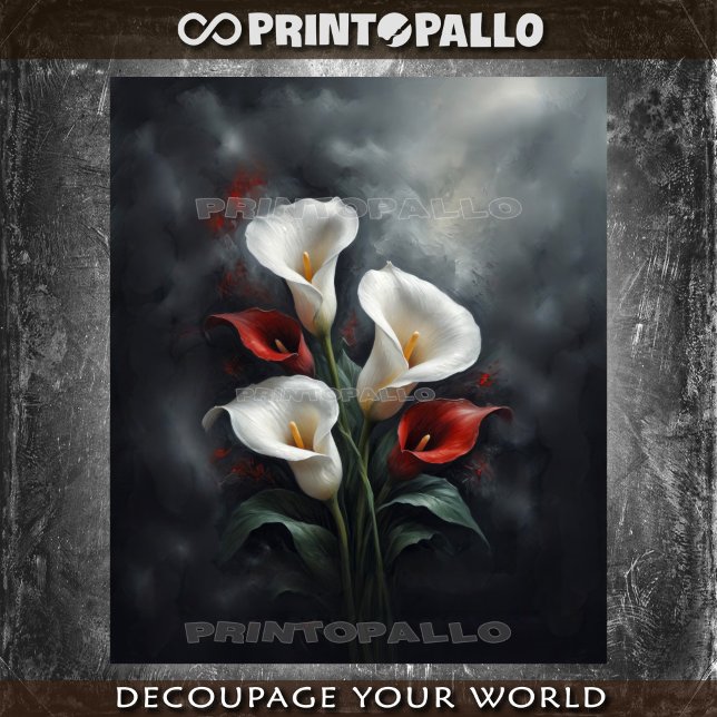 Papel De Seda Composição de flores de lírios calla #2 em preto  (Criador carregado)
