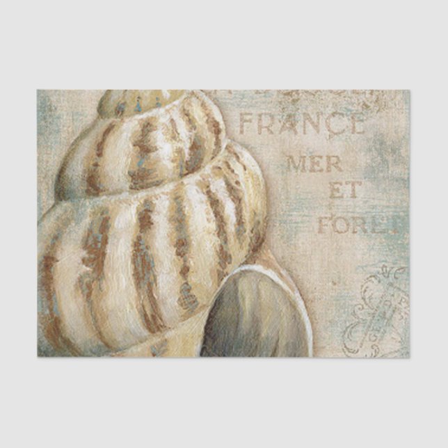 Papel De Seda Conch francês Shell do vintage (Frente )