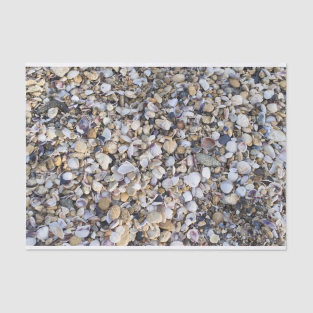 Papel De Seda Conchas (Frente )