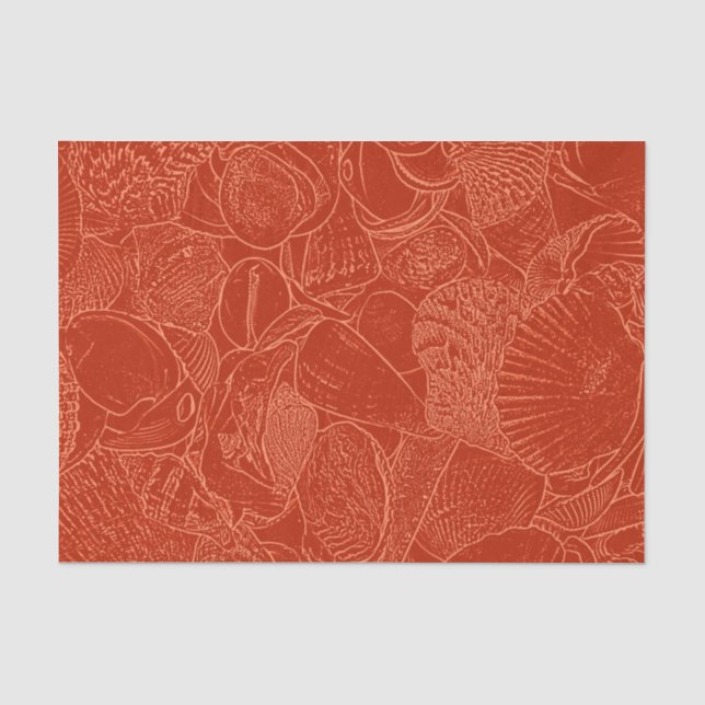 Papel De Seda Conchas de Moluscos Laranja Queimado Praia do Ocea (Frente )