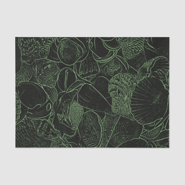 Papel De Seda Conchas do Mar Praia Oceano Verde Preto Esboço (Frente )