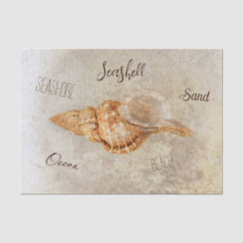 Papel De Seda Conchas Marinhas Vintage Antigo Oceano Praia Ephem