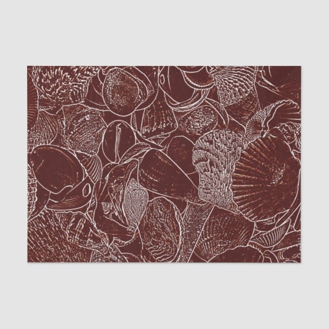 Papel De Seda Conchas Marrons Branco Tom Terra Oceano Praia (Frente )