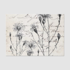 Papel De Seda Conjunto de Dissociação de Dragonfly Dragonfly em 