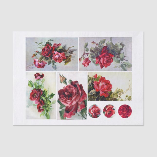 Papel De Seda Conjunto de Rosas Genuínos (não AI) de Klien (1820 (Frente )