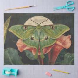 Papel De Seda Conservatório de Mariposa LunaBotânicos
