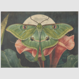 Papel De Seda Conservatório de Mariposa LunaBotânicos