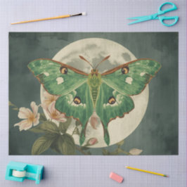 Papel De Seda Conservatório de Mariposa LunaBotânicos