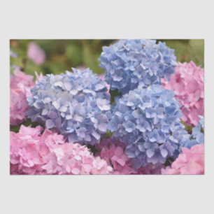 Papel De Seda Cor Azul Cor-de-rosa Hipoteca Flor Sexo