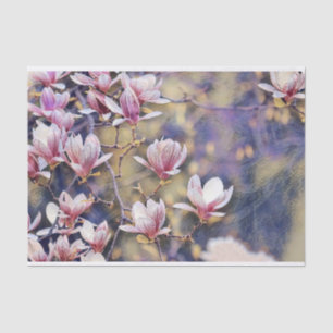 Papel De Seda Cor d'água do galho magnólia rosa fundo púrpura