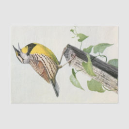 Papel De Seda cor-de-água da vintage meadow