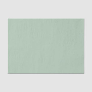 Papel De Seda Cor Sólida Verde Claro Eucalipto
