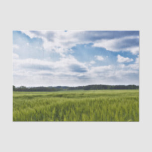 Papel De Seda Cornfields Verdes e Céu Azul
