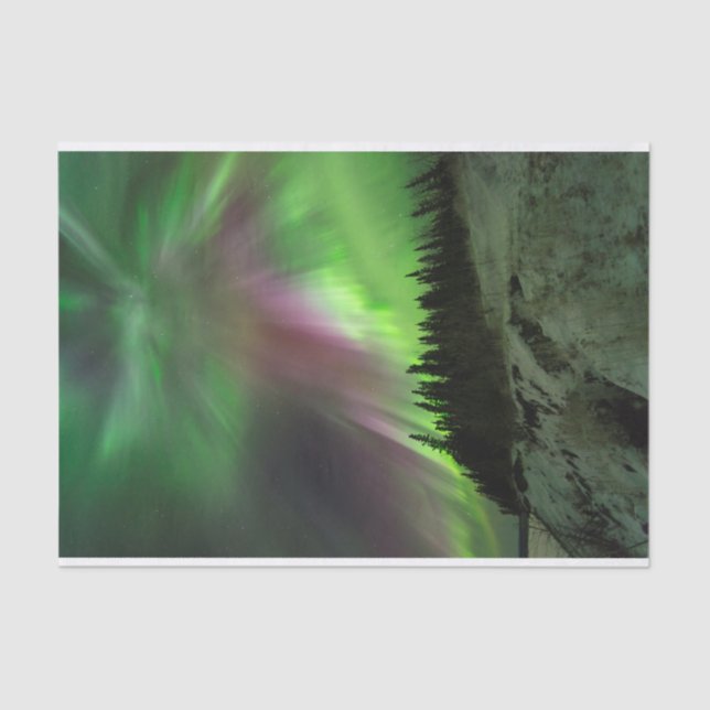 Papel De Seda Corona Aurora (Frente )