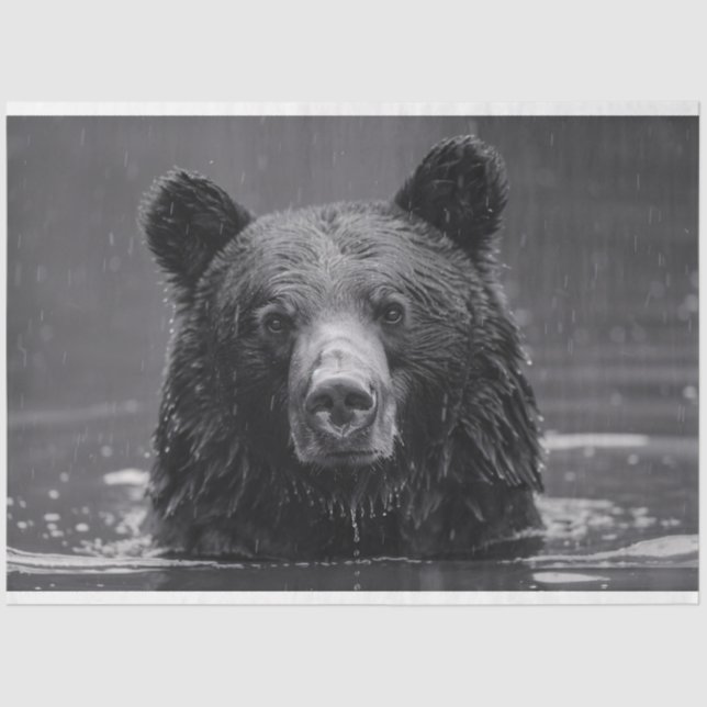 Papel De Seda Corte Preto e Branco (Frente )