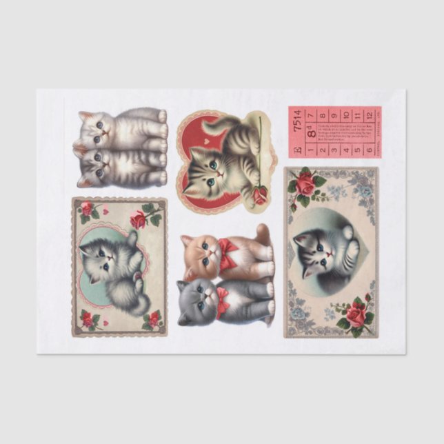 Papel De Seda Cortes bonito de Gatinhos Fussy (Frente )